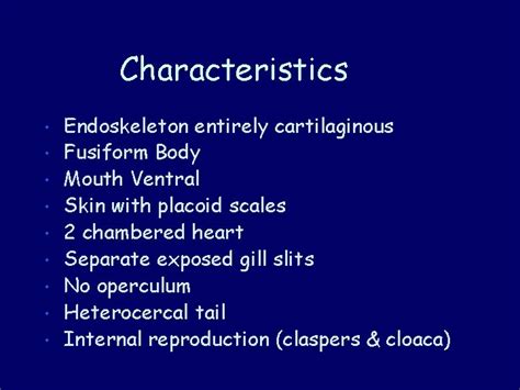 Chondrichthyes Cartilaginous Fish Characteristics Endoskeleton Entirely