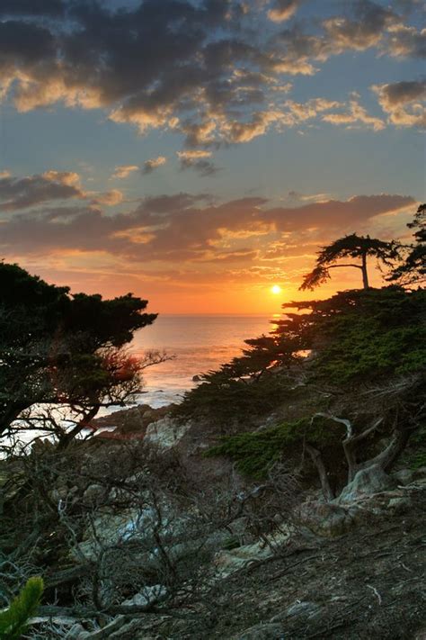 Sunset Lone Cypress Tree 17 Mile Drive California Beautiful Sunset