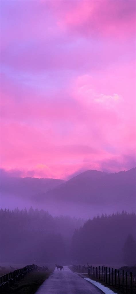 1125x2436 Misty Pink Sunset Iphone Xsiphone 10iphone X
