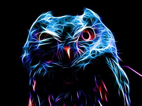 Fractal Owl Pics