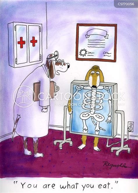 Xray Cartoons And Comics Funny Pictures From Cartoonstock