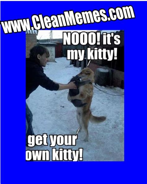 We created a parent category called cat memes we will post more clean cat memes. Gather the Beautiful Funny Animal Memes Clean 2017 ...