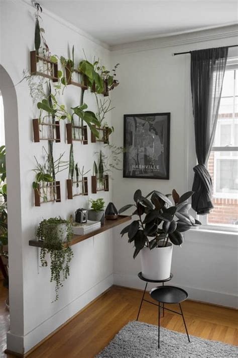 18 Indoor Plants Bedroom Window Garden Ideas Thuy San Plus