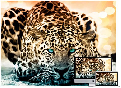 40 Amazing Wildlife And Animal Wallpapers Hongkiat