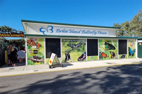 The Bribie Island Butterfly House Brisbane Kids