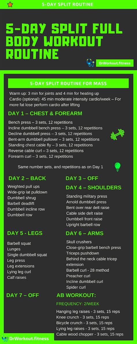 Best Muscle Building Workout Plans Drworkoutfitness