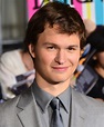 File:Ansel Elgort 2014 Divergent Premiere (cropped).jpg - Wikimedia Commons