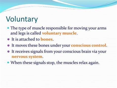 Ppt Muscles And Muscle Action Powerpoint Presentation Id1466190