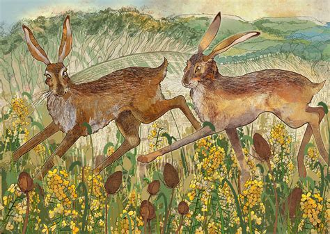 Clent Hares Shelly Perkins Wildlife Art
