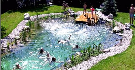 How To Build Your Own Natural Swimming Pool In Your Backyard In Just Steps Natural Swimming