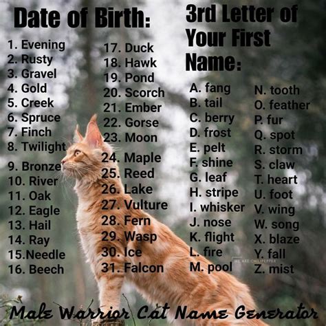 Male Warrior Cat Name Generator Warrior Cat Names Warrior Cats Name