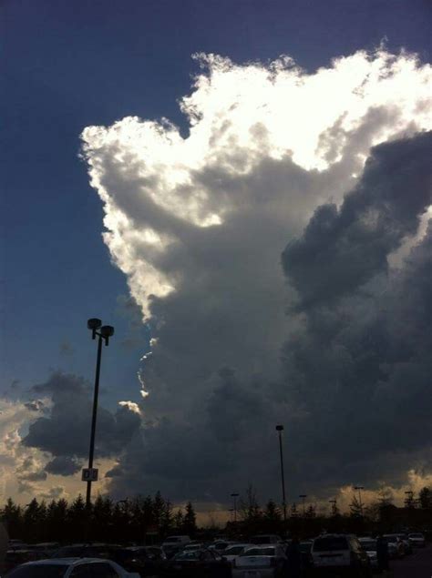 Pin By Amber Brown On Cloud Pics I Took Love Clouds Just A Few