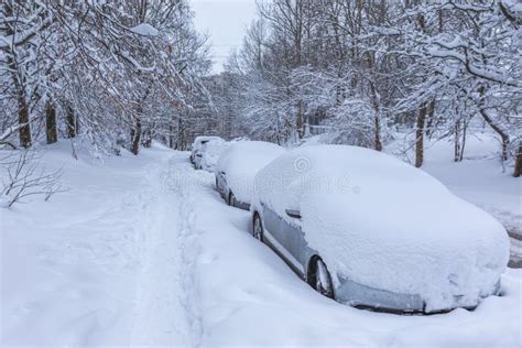 Vehicles Covered With Snow In The Winter Blizzard In The Parking Lot