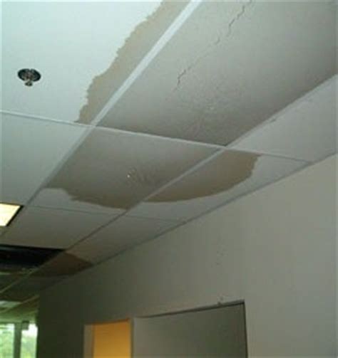 Water damage can hide within walls, beneath floors, and in ceilings. Water-damaged ceiling tiles are a fairly common site in ...
