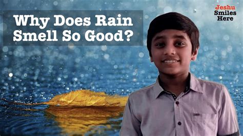 Why Does Rain Smell So Good ⎢ Jeshu Smiles Here Youtube
