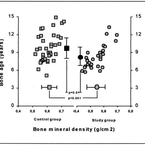 Schematic Representation Of The Bone Ages And Bone Mineral Density