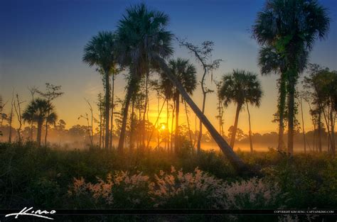 Natural Florida Landscape Foggy Morning Sunrise Hdr Photography By
