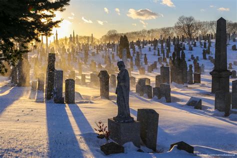 Largest Cemetery In The United States Pics