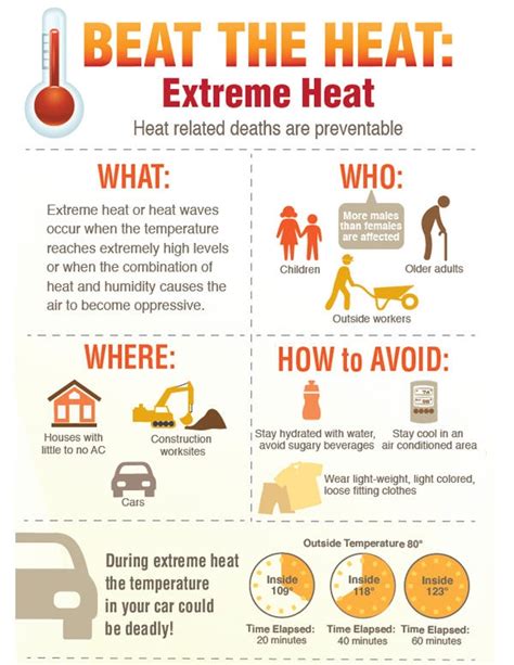 Tips To Stay Safe During A Heat Wave