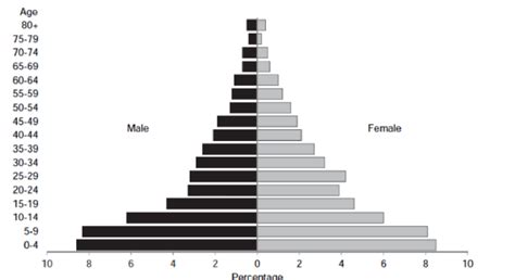 1 Nigerias Population Pyramid In 2013 Source Third National Youth