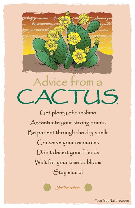 Explore cactus quotes by authors including katherine dunham, h. Pin by Windie King on Advice from.... | Cactus, Cactus paintings, Cactus quotes
