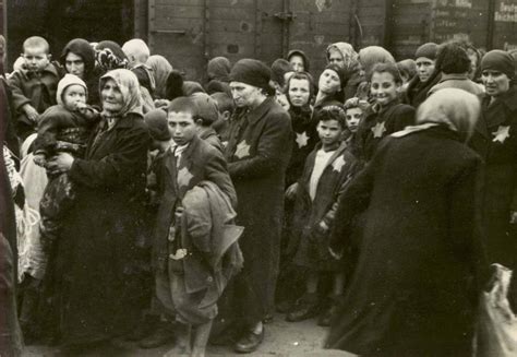 Por Qué El Holocausto Fue Un Crimen Contra Los Judíos Blog Hechos