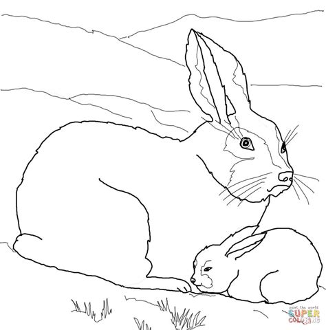 Arctic Hare Baby And Mother Coloring Online Super Coloring