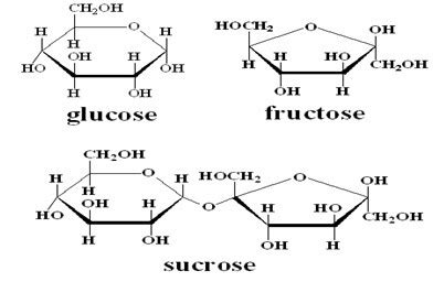 Each sugar molecule contains 12 carbon atoms, 22 hydrogen atoms, and 11 oxygen atoms. Oh, Sugar! - Trainerize.me