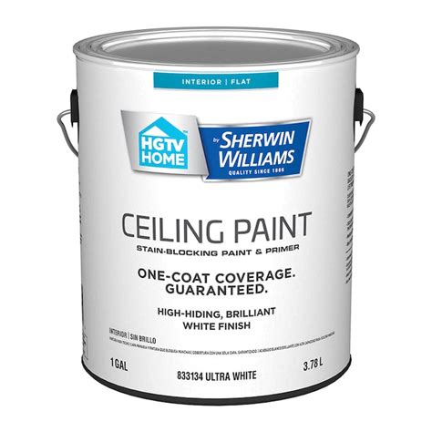 Hgtv Home By Sherwin Williams Ceiling Flat White Interior Paint 1