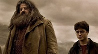 Muere "Hagrid" de Harry Potter, ellos son todos los actores de la saga ...
