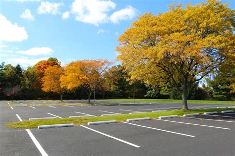 Empty Parking Lot Trees In Autumn Asphalt Concrete Services