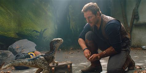 New Jurassic World Fallen Kingdom Footage Reveals A Spoiler About Blue
