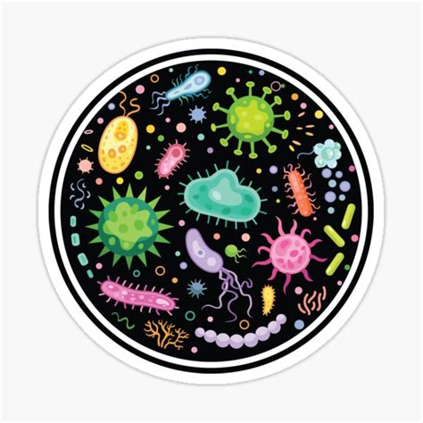 Bacterial Culture In Microbiology Sticker For Sale By Elhon Redbubble