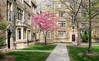 University of Michigan Law School/Quad, Ann Arbor: Photos