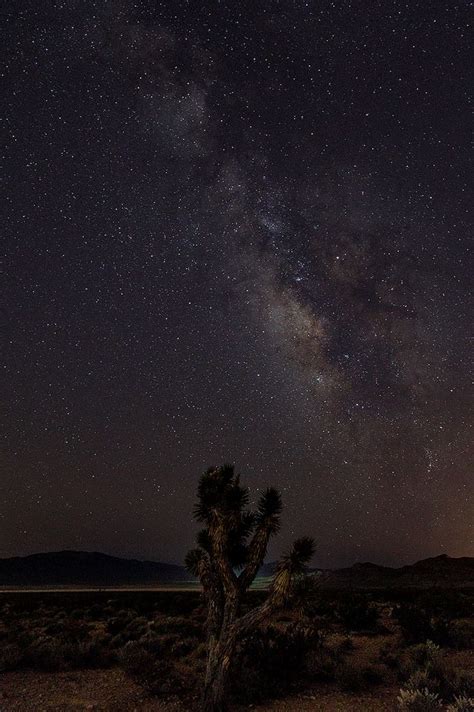 Milky Way Over Joshua Tree Milky Way Joshua Tree Scenery