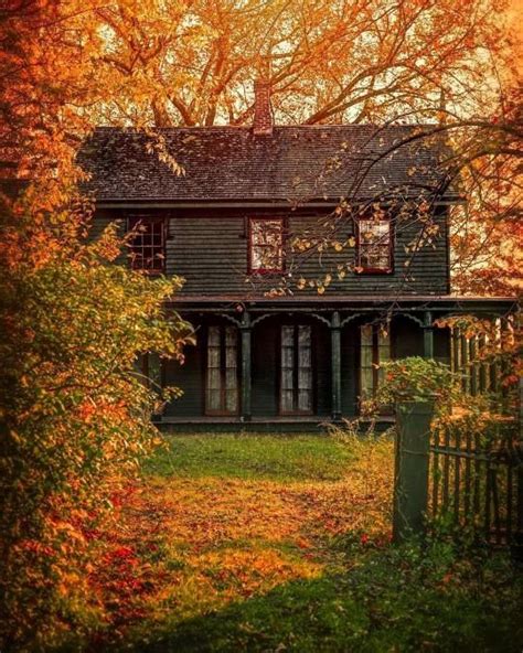 🌿 Witchy Autumns 🌙 All Nature Flowers Nature Beautiful Homes