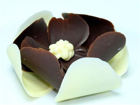 Tempered Two Chocolate Garnishes Rustic Flowers Chocolate Garnishes