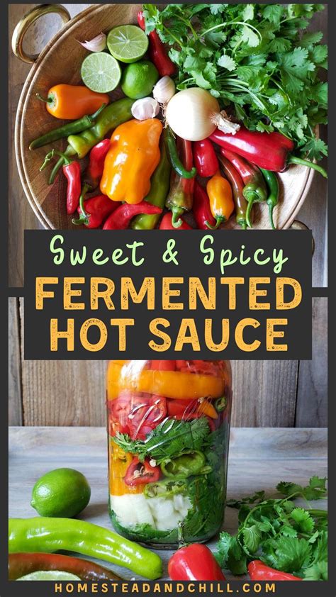 Sweet Spicy Pepper Fermented Hot Sauce Artofit