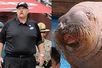 While the real andy reid is sticking around for at least another season, the fake andy reid is heading to new andy reid is an idiot. Who Looks More Like A Walrus: Andy Reid Or Mike Holmgren ...