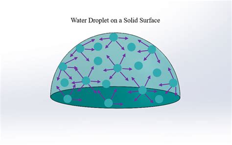 2 Schematic Representation Of Surface Tension Of A Hemispherical Water