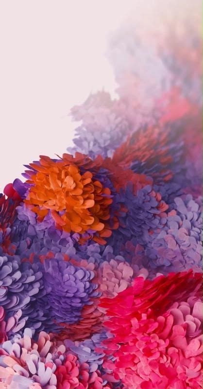 Samsung Galaxy A02s Wallpaper With Dandelion Flower 2021
