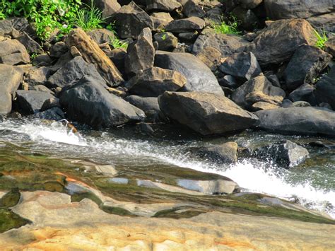 A River Flowing Through Rocks Pixahive