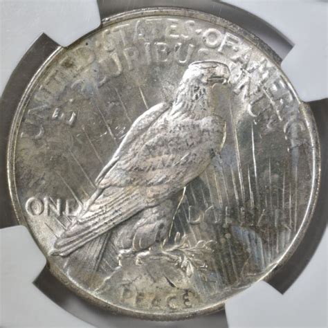 1924 Peace Dollar Ngc Ms 65