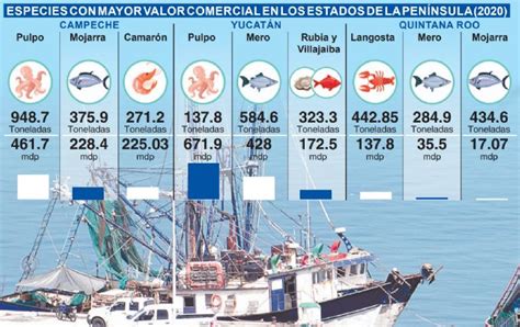 Ingresos Por Pesca En Yucatán Más Redituables Que Lo Obtenido Por