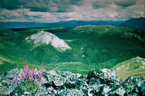 Taiga Mountain Wilderness Yukon Territory Canada Stock Image Image Of