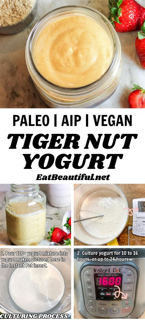 Tigernut YOGURT Paleo AIP Vegan Recipe Dairy Free Yogurt Recipe