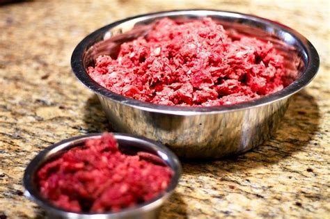 Raw puppy food recipes can be as straightforward as combining muscle meat, organ meat and raw, meaty bones (you'll find out more about these here). Raw Dog Food Recipes: Keep Your Pet Healthy and Happy