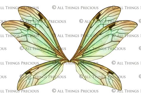 Printable Fairy Wings Set 8 Transparent Overlays Cosplay Etsy Elf