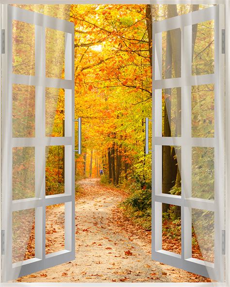 3d Autumn Forest Walkway Nature Mural 5581419b56c64