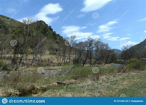 Mountain River Sema In Western Siberia Altai Republic Stock Image